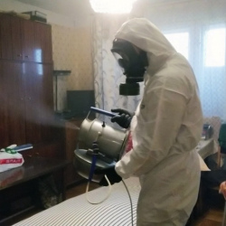 Дезинфекция от клопов в Лопухинке