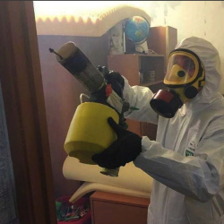 Уничтожение клопов в квартире. Лопухинка